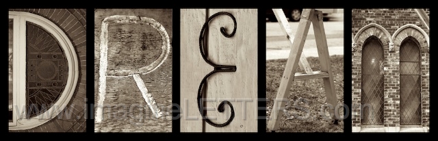 Wall_Art_Alphabet_Photography_Art_ 486.jpg